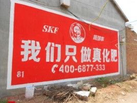 盐源刷墙广告”蕴含了时代命题