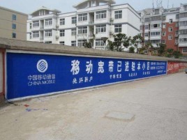 盐源如何打造能够“让人记住”的广告