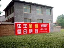 盐源如何让墙体广告展现最大化效果