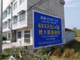 盐源墙体广告质量分析