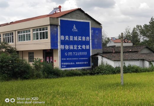 盐源决定墙体广告价格的因素有哪些？
