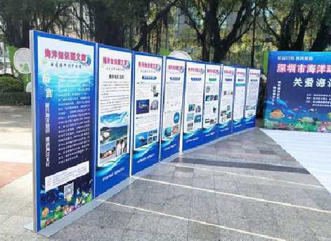 盐源KT板的种类和知识。